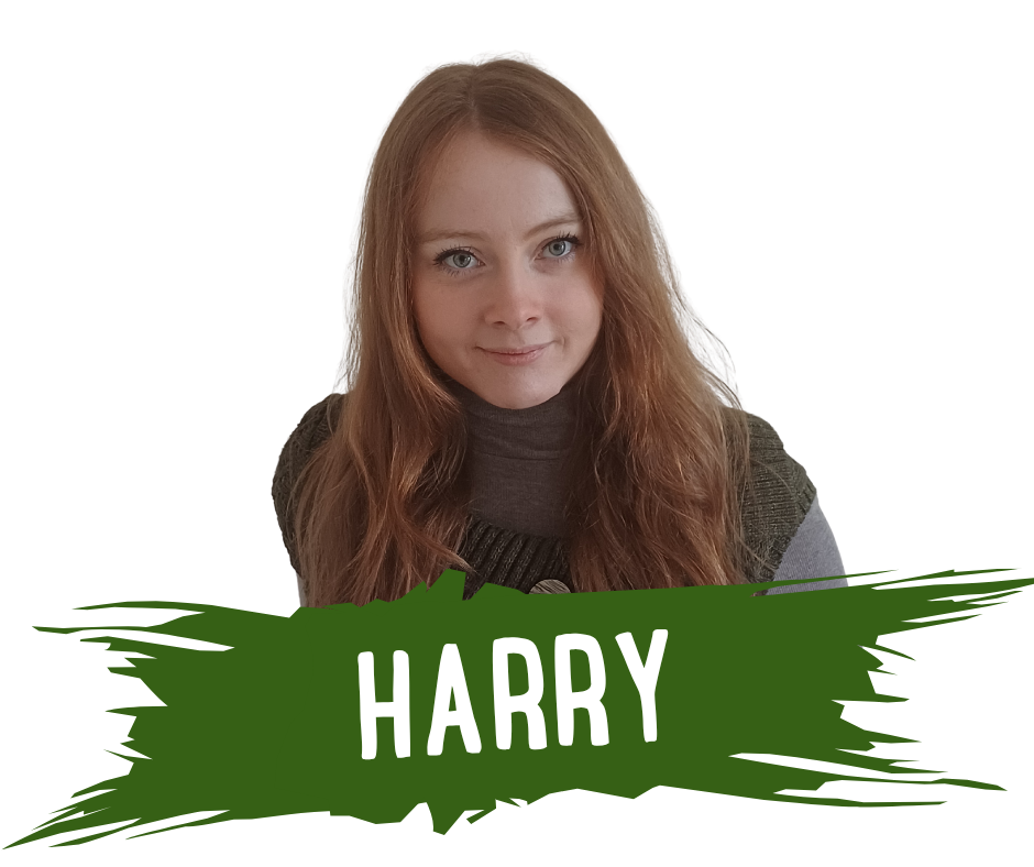 Harry - Game Dev Club Mentor - for code club